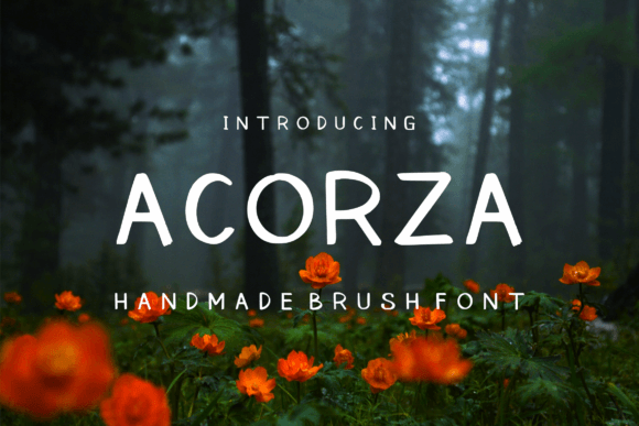 Acorza: A Handwritten Font That Elevates Your Web Design