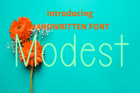 How Modest Font Transformed My Brand’s Visual Identity