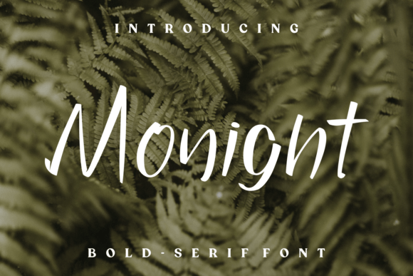 Monight: A Handwritten Font That Elevates Web Design