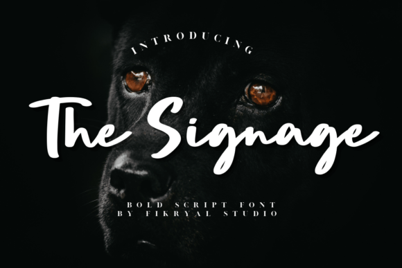 The Signage: A Bold Script Font for Small Business Branding