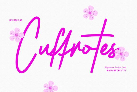 Why Cuffrotes Is the Perfect Script Font for Modern Web Design